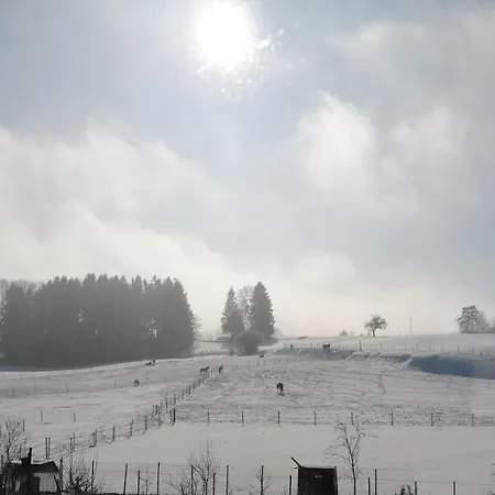 Spehnerhof Lägenhet Vogt