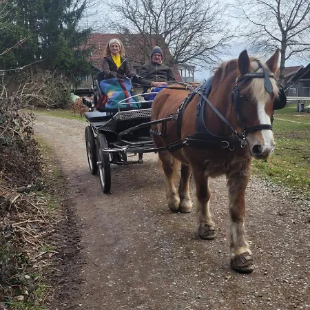 Spehnerhof شقة Vogt