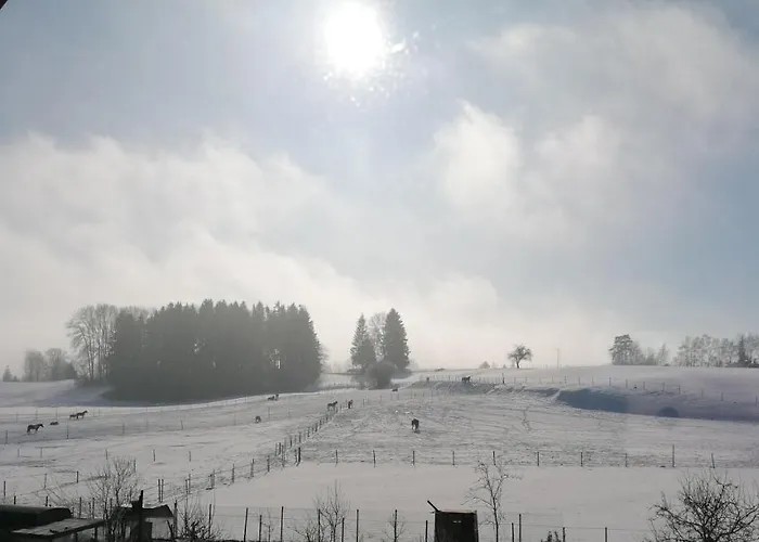 Spehnerhof شقة Vogt