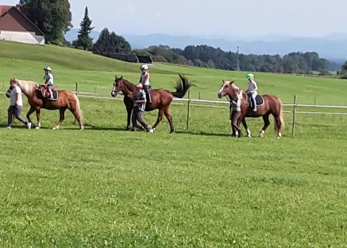 Spehnerhof شقة Vogt