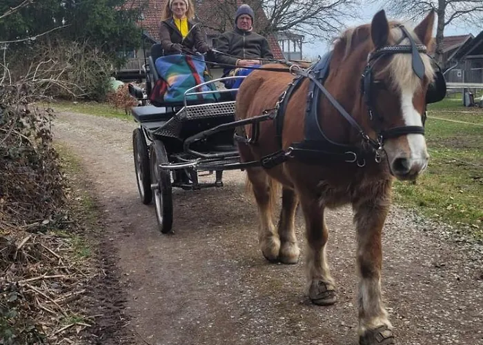 Spehnerhof דירה Vogt